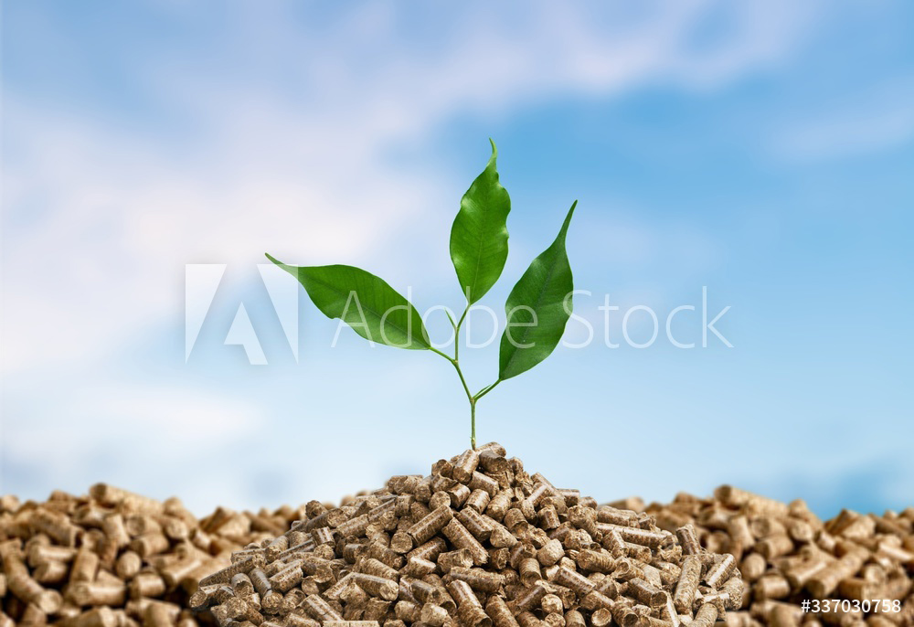 健やかで優しい、未来を守る。